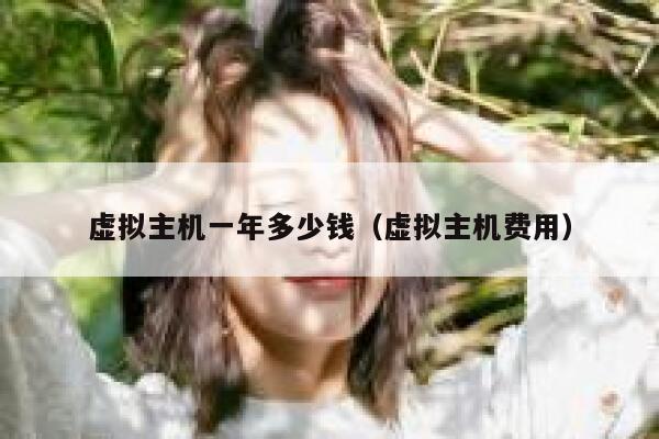 虚拟主机一年多少钱（虚拟主机费用）