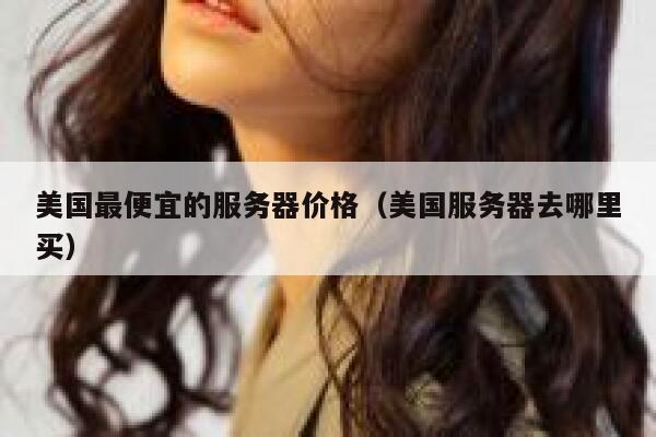 美国最便宜的服务器价格（美国服务器去哪里买）