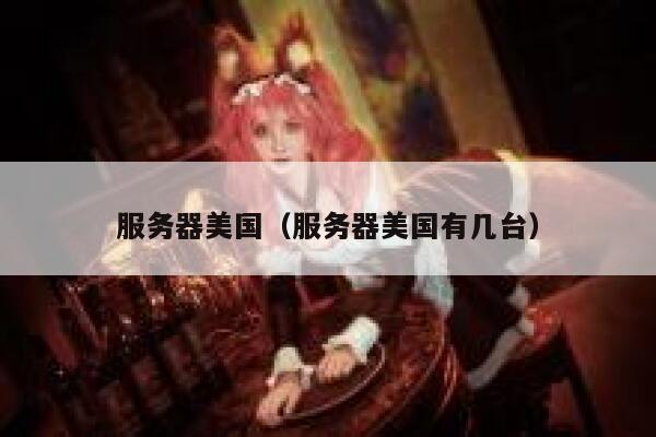 服务器美国（服务器美国有几台）