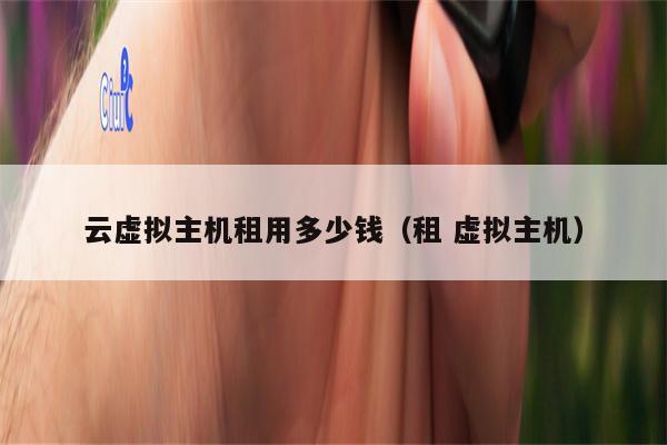 云虚拟主机租用多少钱（租 虚拟主机）