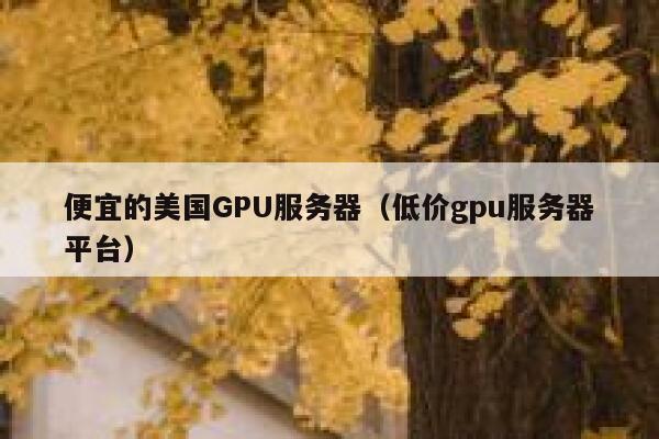 便宜的美国GPU服务器（低价gpu服务器平台）