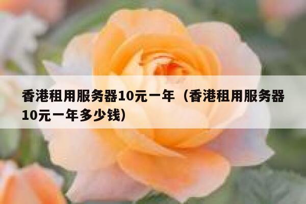 香港租用服务器10元一年（香港租用服务器10元一年多少钱）