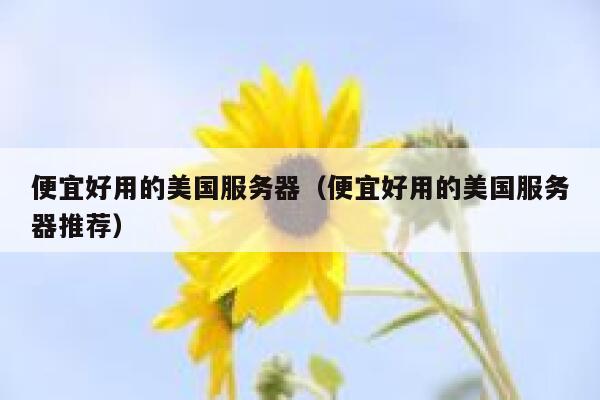 便宜好用的美国服务器（便宜好用的美国服务器推荐）