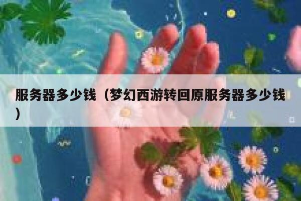 服务器多少钱（梦幻西游转回原服务器多少钱）