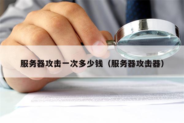 服务器攻击一次多少钱（服务器攻击器）