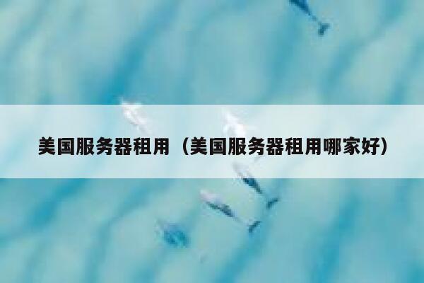 美国服务器租用（美国服务器租用哪家好）