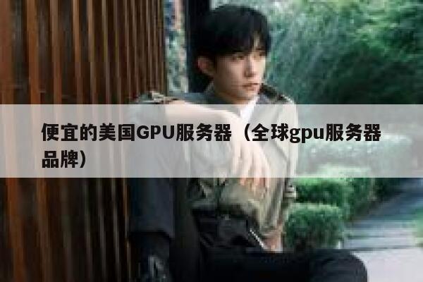 便宜的美国GPU服务器（全球gpu服务器品牌）