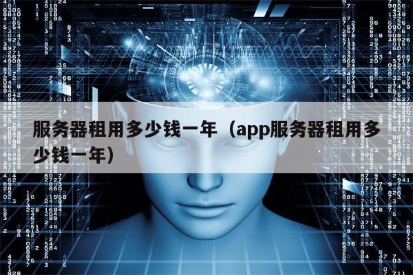 服务器租用多少钱一年（app服务器租用多少钱一年）