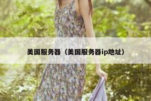 美国服务器（美国服务器ip地址）