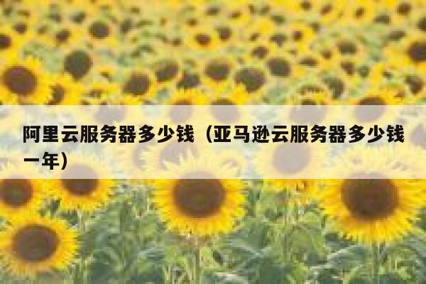 阿里云服务器多少钱（亚马逊云服务器多少钱一年）