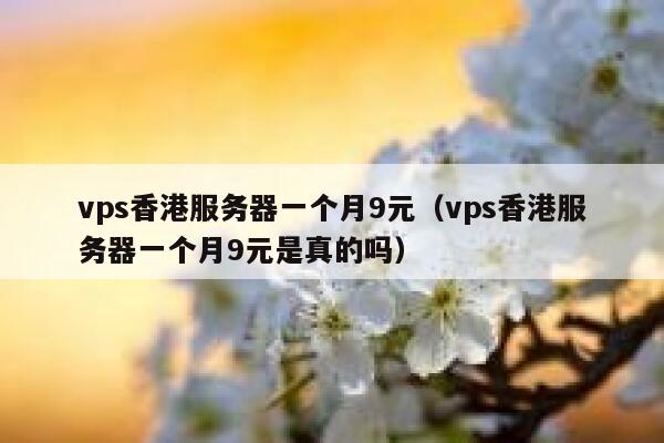vps香港服务器一个月9元（vps香港服务器一个月9元是真的吗）
