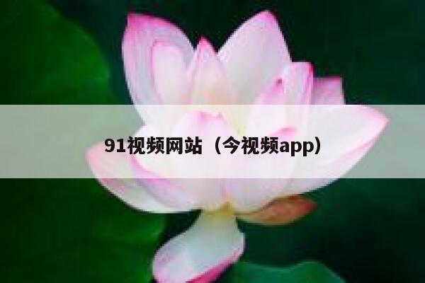 91视频网站（今视频app）
