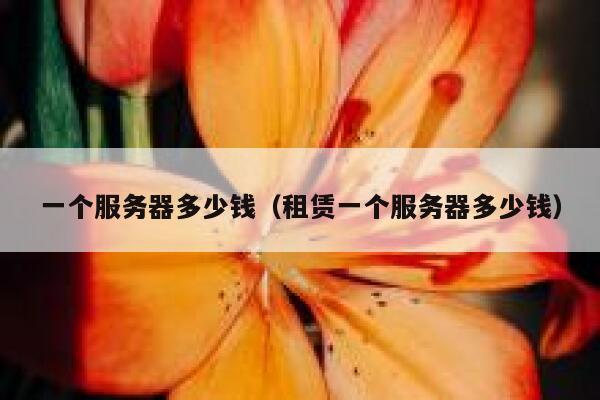 一个服务器多少钱（租赁一个服务器多少钱）