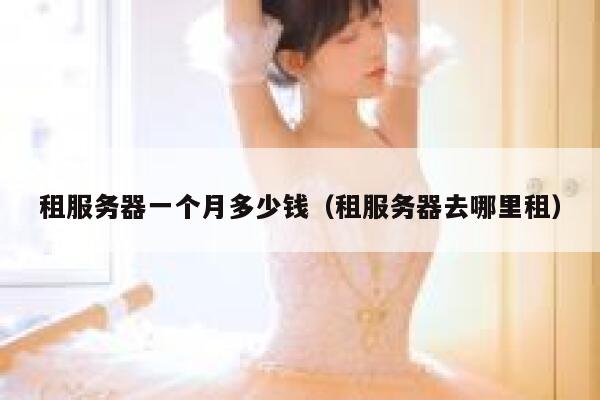 租服务器一个月多少钱（租服务器去哪里租）