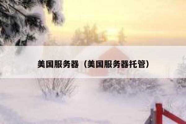 美国服务器（美国服务器托管）