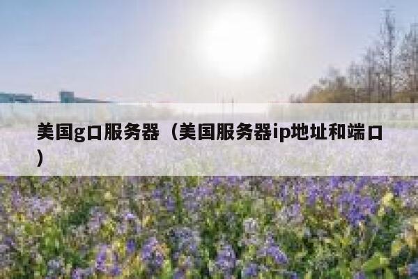 美国g口服务器（美国服务器ip地址和端口）