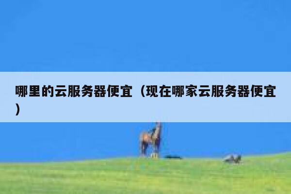 哪里的云服务器便宜（现在哪家云服务器便宜）