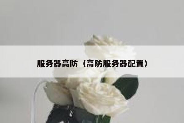 服务器高防（高防服务器配置）