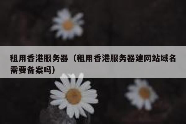 租用香港服务器（租用香港服务器建网站域名需要备案吗）