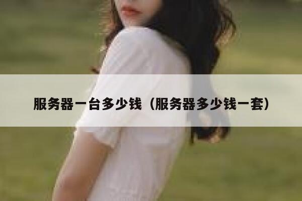 服务器一台多少钱（服务器多少钱一套）