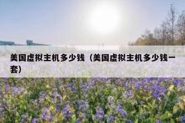 美国虚拟主机多少钱（美国虚拟主机多少钱一套）