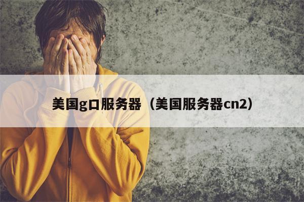 美国g口服务器（美国服务器cn2）