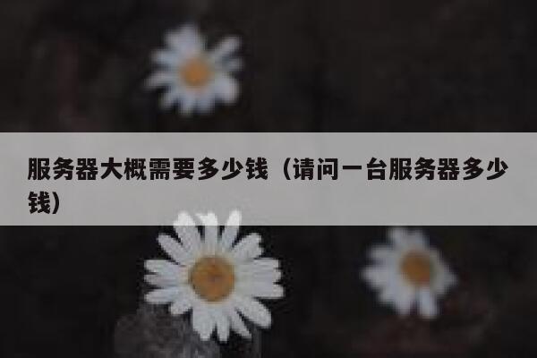 服务器大概需要多少钱（请问一台服务器多少钱）
