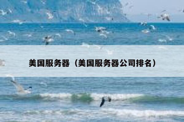 美国服务器（美国服务器公司排名）