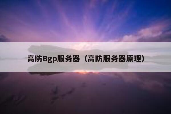 高防Bgp服务器（高防服务器原理）