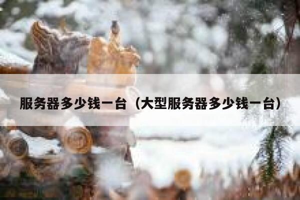 服务器多少钱一台（大型服务器多少钱一台）