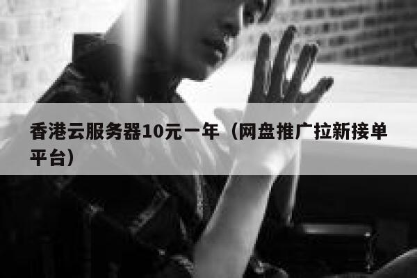 香港云服务器10元一年（网盘推广拉新接单平台）
