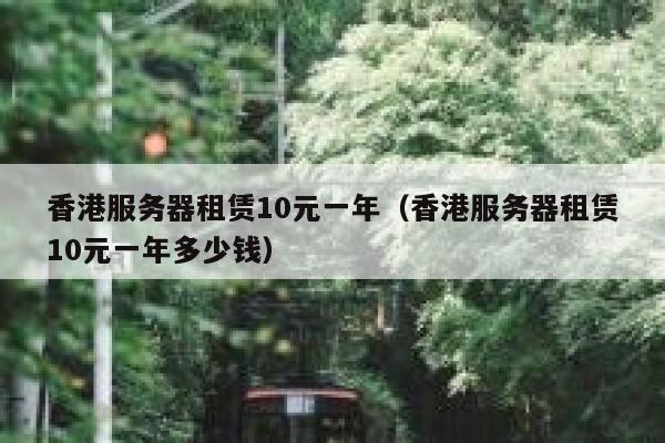 香港服务器租赁10元一年（香港服务器租赁10元一年多少钱）