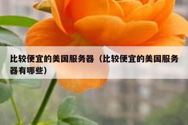 比较便宜的美国服务器（比较便宜的美国服务器有哪些）