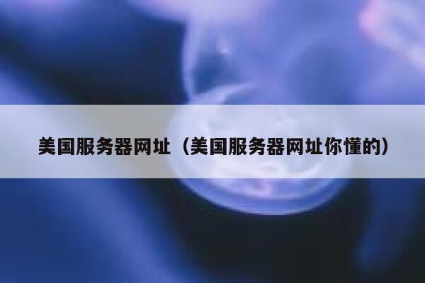 美国服务器网址（美国服务器网址你懂的）