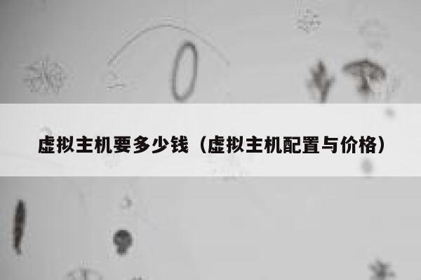 虚拟主机要多少钱（虚拟主机配置与价格）