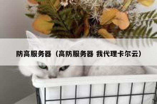 防高服务器（高防服务器 我代理卡尔云）