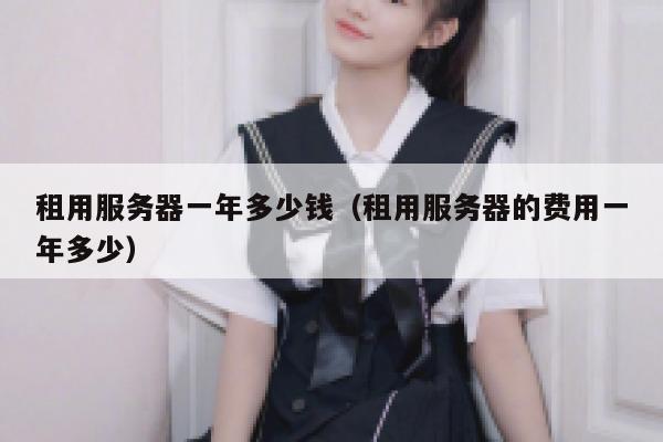 租用服务器一年多少钱（租用服务器的费用一年多少）