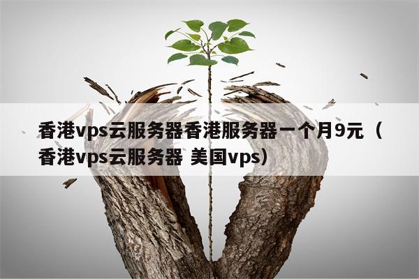 香港vps云服务器香港服务器一个月9元（香港vps云服务器 美国vps）