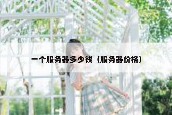 一个服务器多少钱（服务器价格）