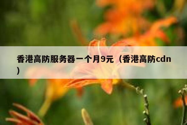 香港高防服务器一个月9元（香港高防cdn）