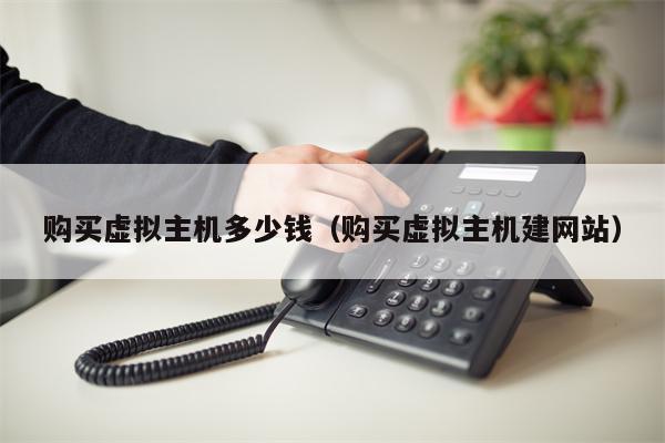 购买虚拟主机多少钱（购买虚拟主机建网站）