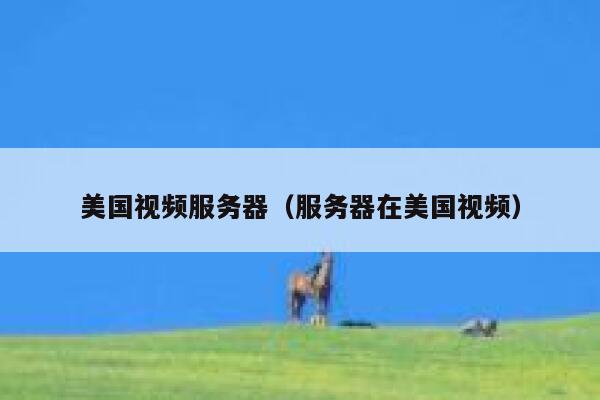 美国视频服务器（服务器在美国视频）