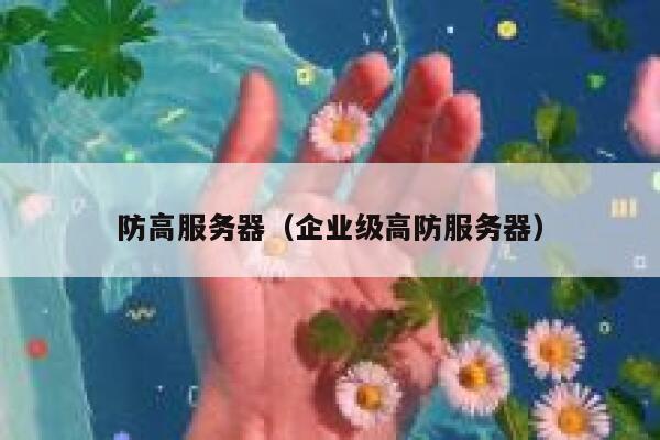防高服务器（企业级高防服务器）