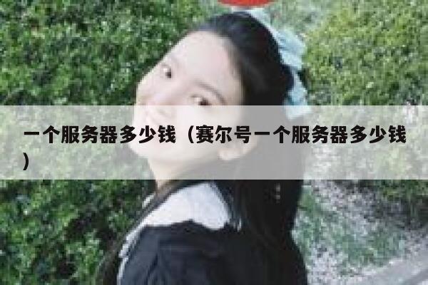 一个服务器多少钱（赛尔号一个服务器多少钱）