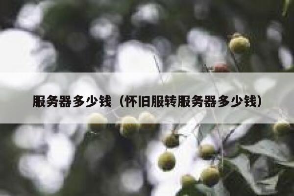 服务器多少钱（怀旧服转服务器多少钱）