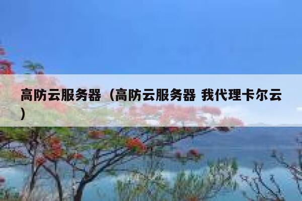 高防云服务器（高防云服务器 我代理卡尔云）