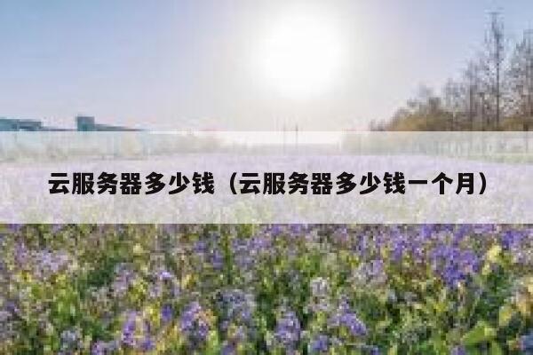 云服务器多少钱（云服务器多少钱一个月）