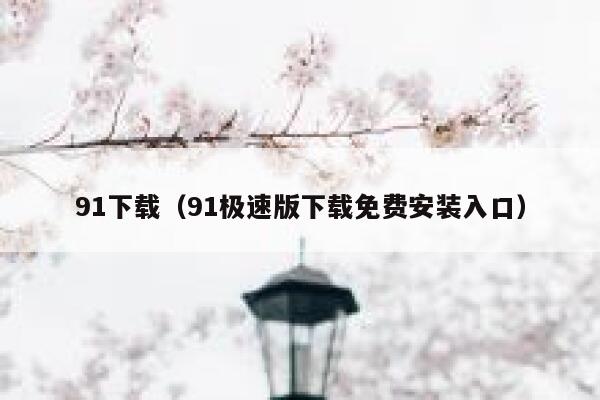 91下载（91极速版下载免费安装入口）