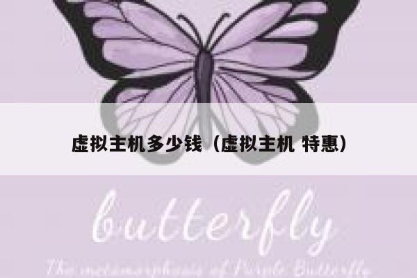 虚拟主机多少钱（虚拟主机 特惠）