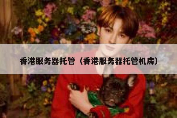 香港服务器托管（香港服务器托管机房）